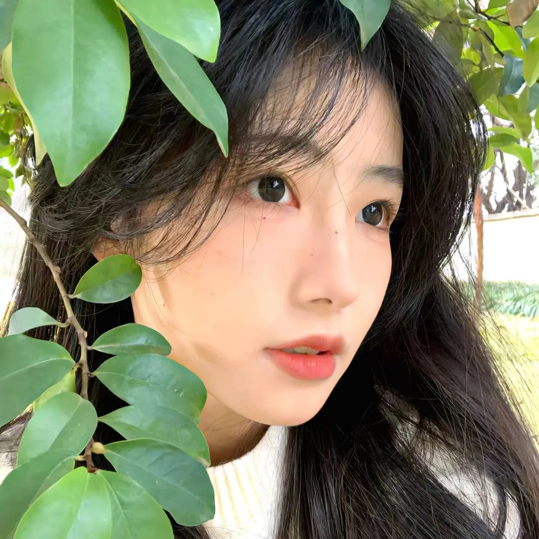 加菲猫的幸福生活第二季
