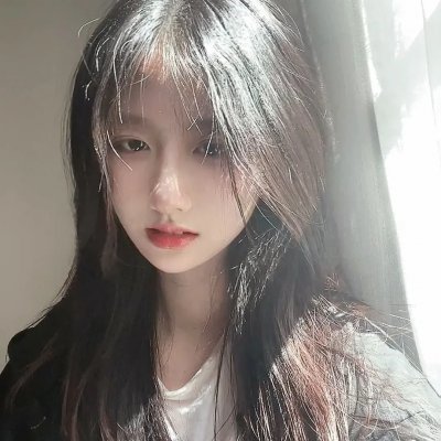双生赤狐